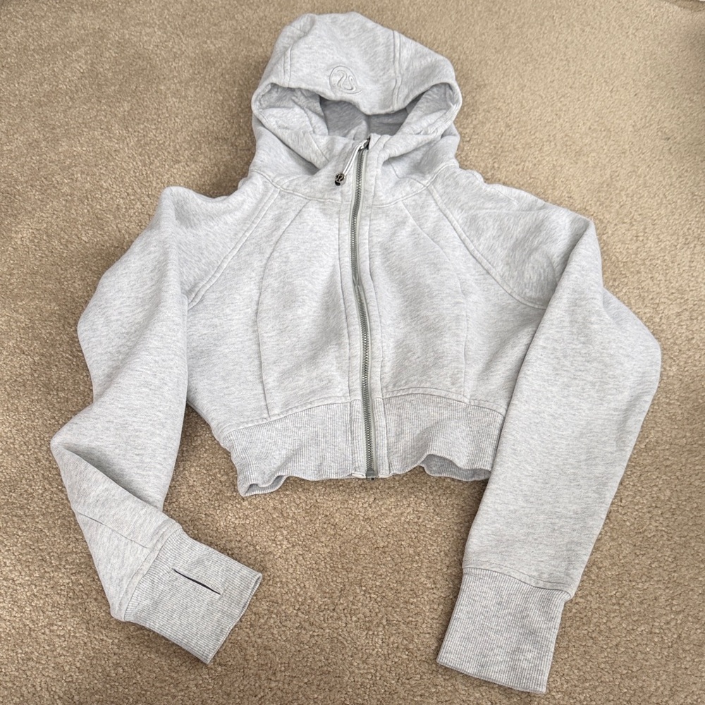 Light Gray Cropped Zip Hoodie